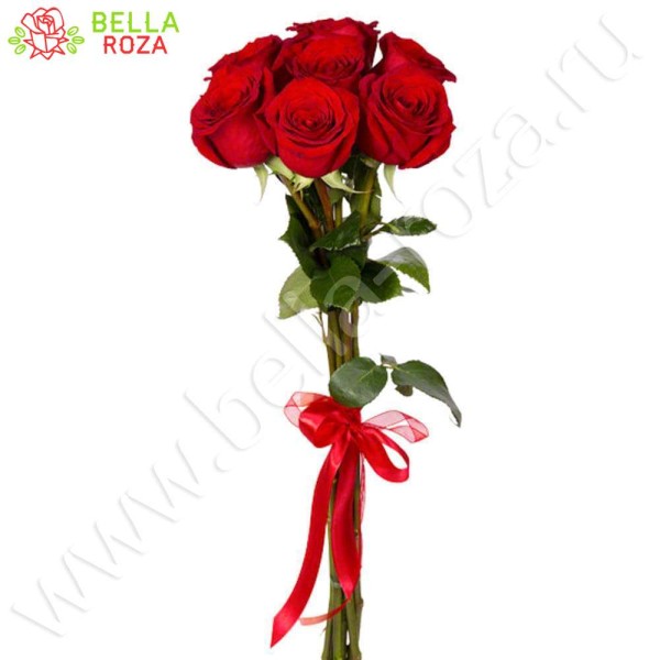 5 гигантских Красных роз 170см