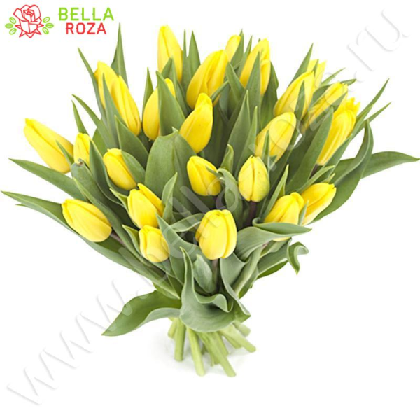 Тюльпаны желтые 25 шт