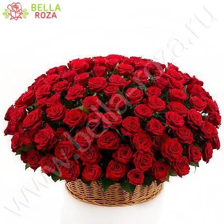 Букет 201 красная роза в корзине гран при " Мои чувства" 70 см